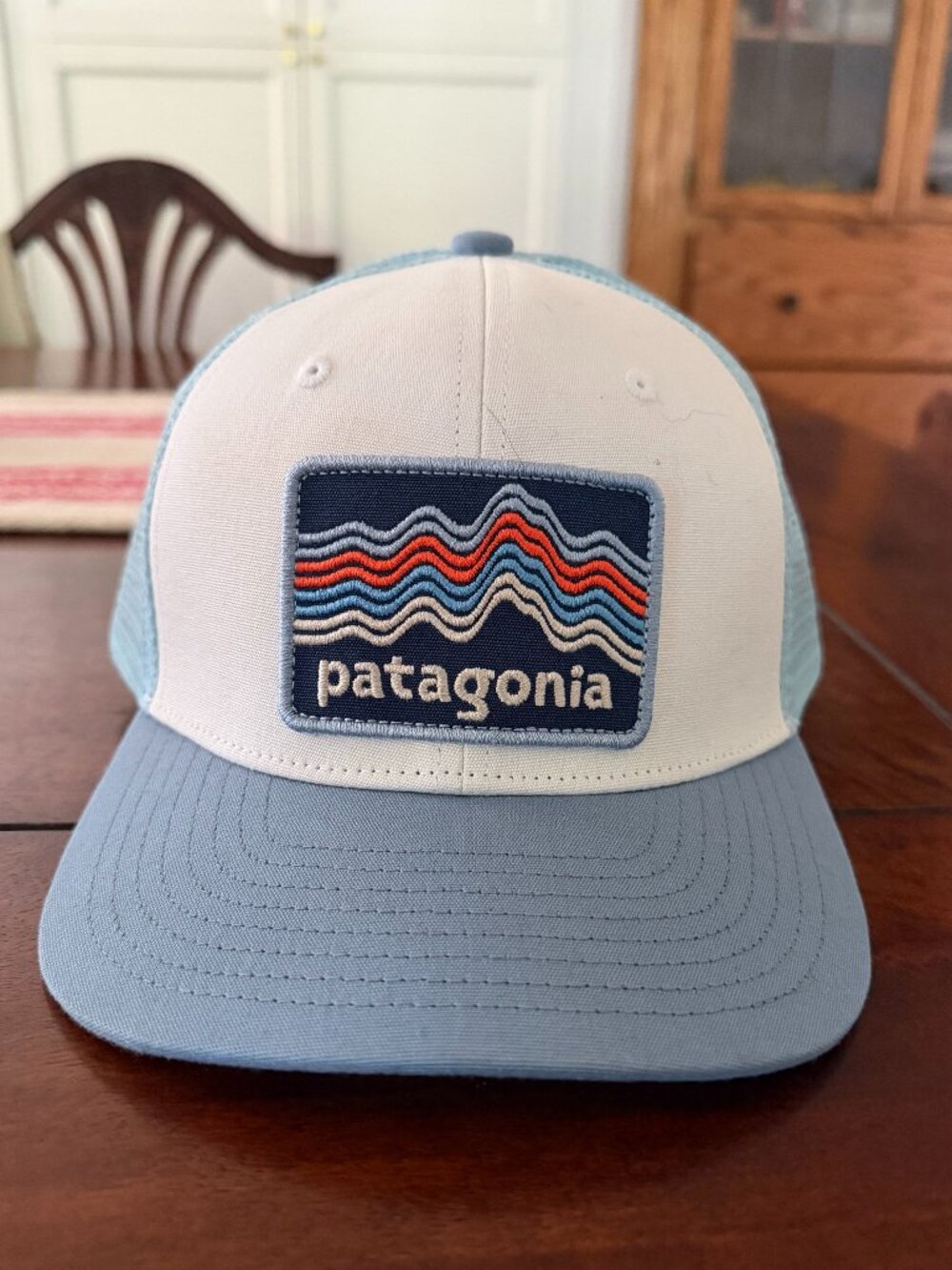 NEW Patagonia Trucker Hat